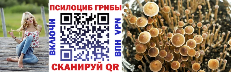 Галлюциногенные грибы Cubensis Нарткала