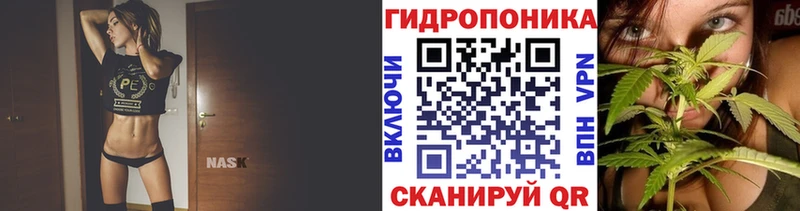 Каннабис Bruce Banner  Нарткала 